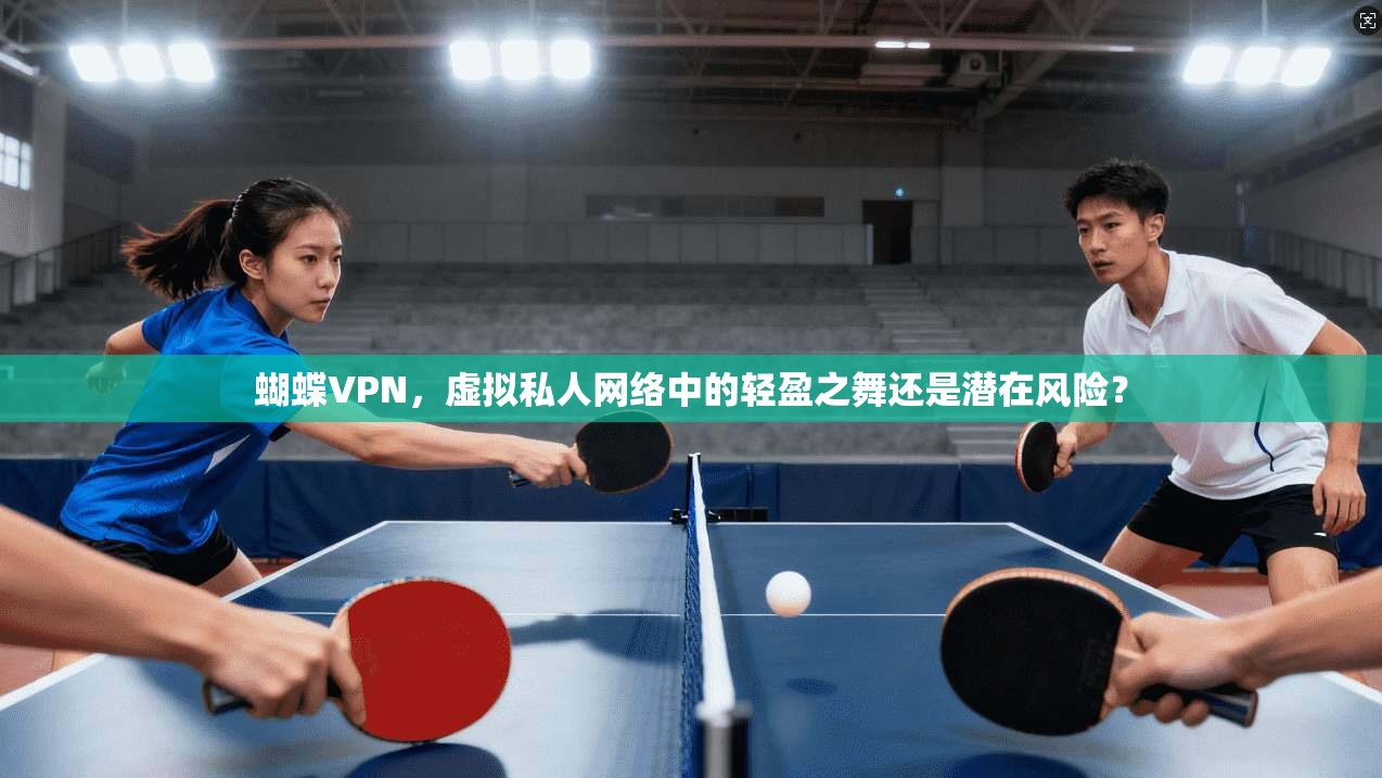 蝴蝶VPN，虚拟私人网络中的轻盈之舞还是潜在风险？