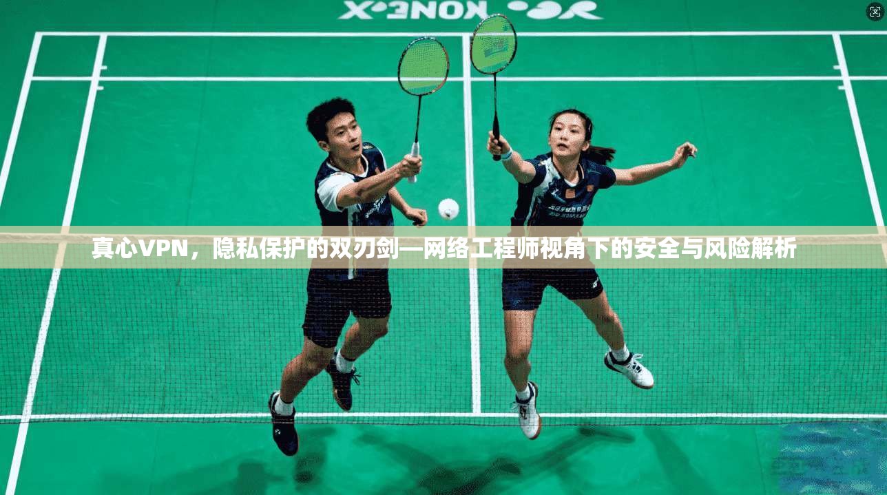 真心VPN，隐私保护的双刃剑—网络工程师视角下的安全与风险解析