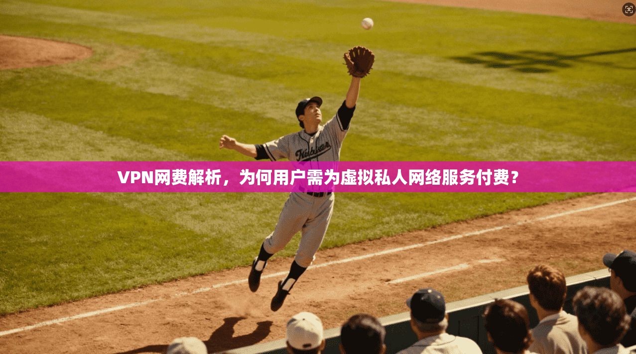 VPN网费解析，为何用户需为虚拟私人网络服务付费？
