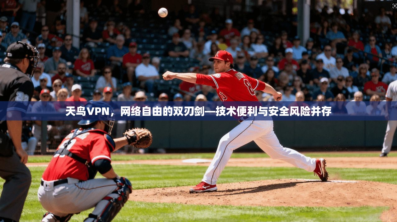 天鸟VPN，网络自由的双刃剑—技术便利与安全风险并存