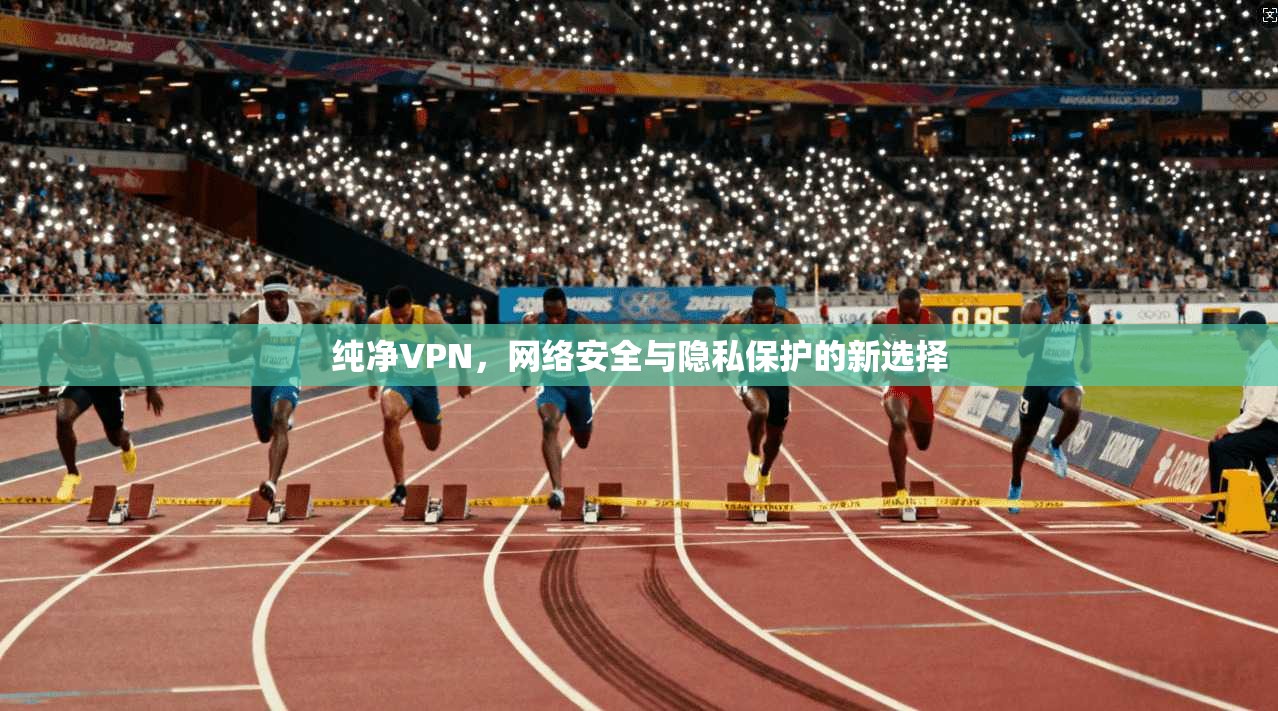 纯净VPN，网络安全与隐私保护的新选择