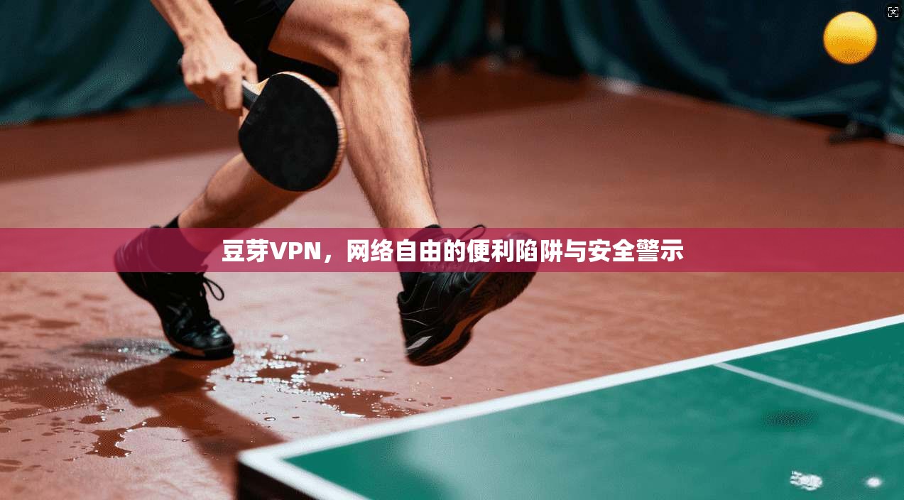 豆芽VPN，网络自由的便利陷阱与安全警示