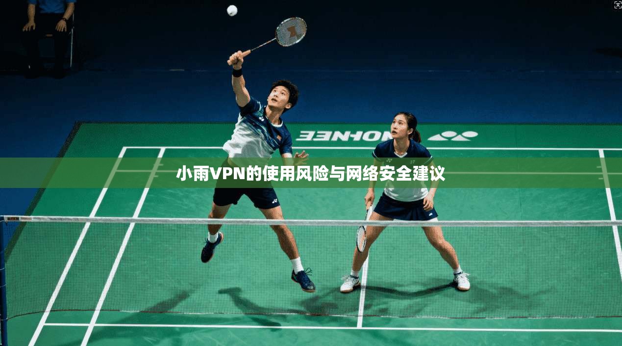 小雨VPN的使用风险与网络安全建议
