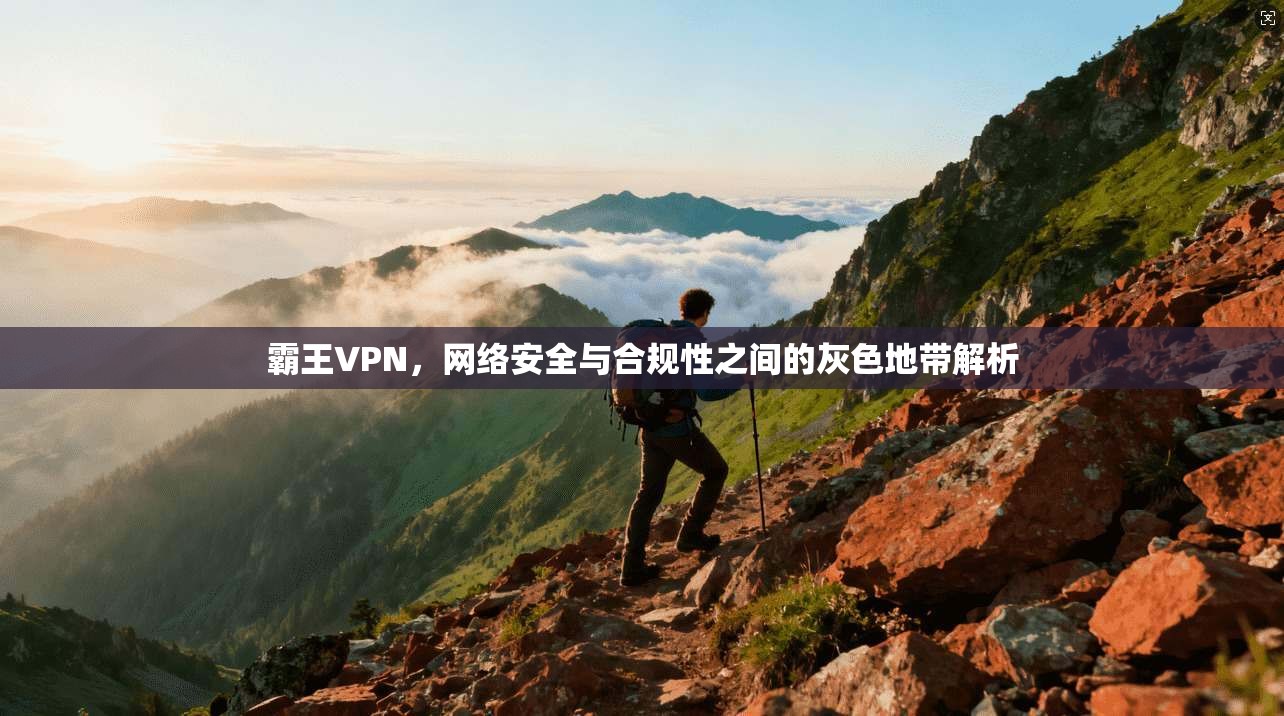 霸王VPN，网络安全与合规性之间的灰色地带解析