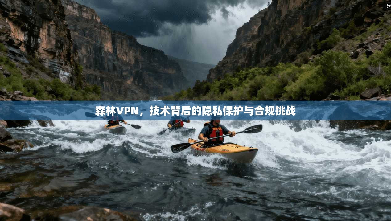 森林VPN，技术背后的隐私保护与合规挑战