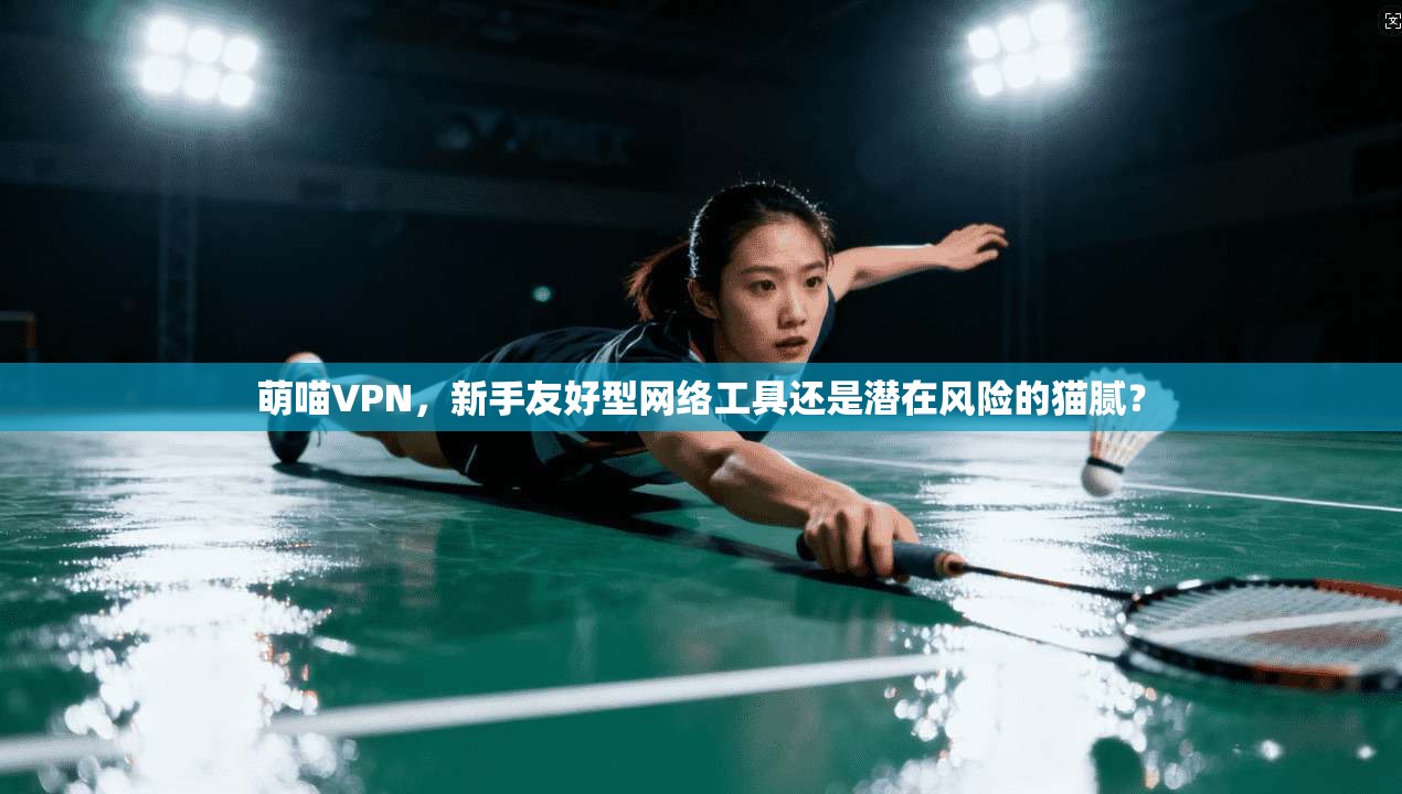 萌喵VPN，新手友好型网络工具还是潜在风险的猫腻？