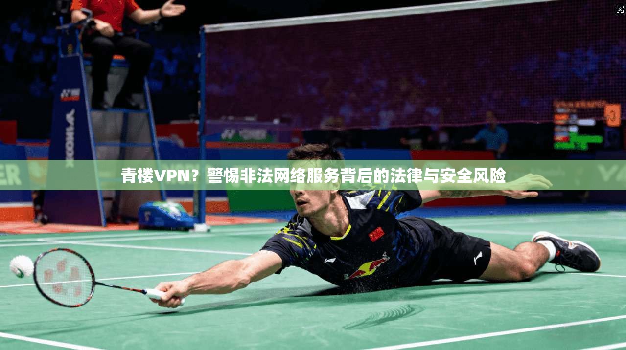 青楼VPN？警惕非法网络服务背后的法律与安全风险