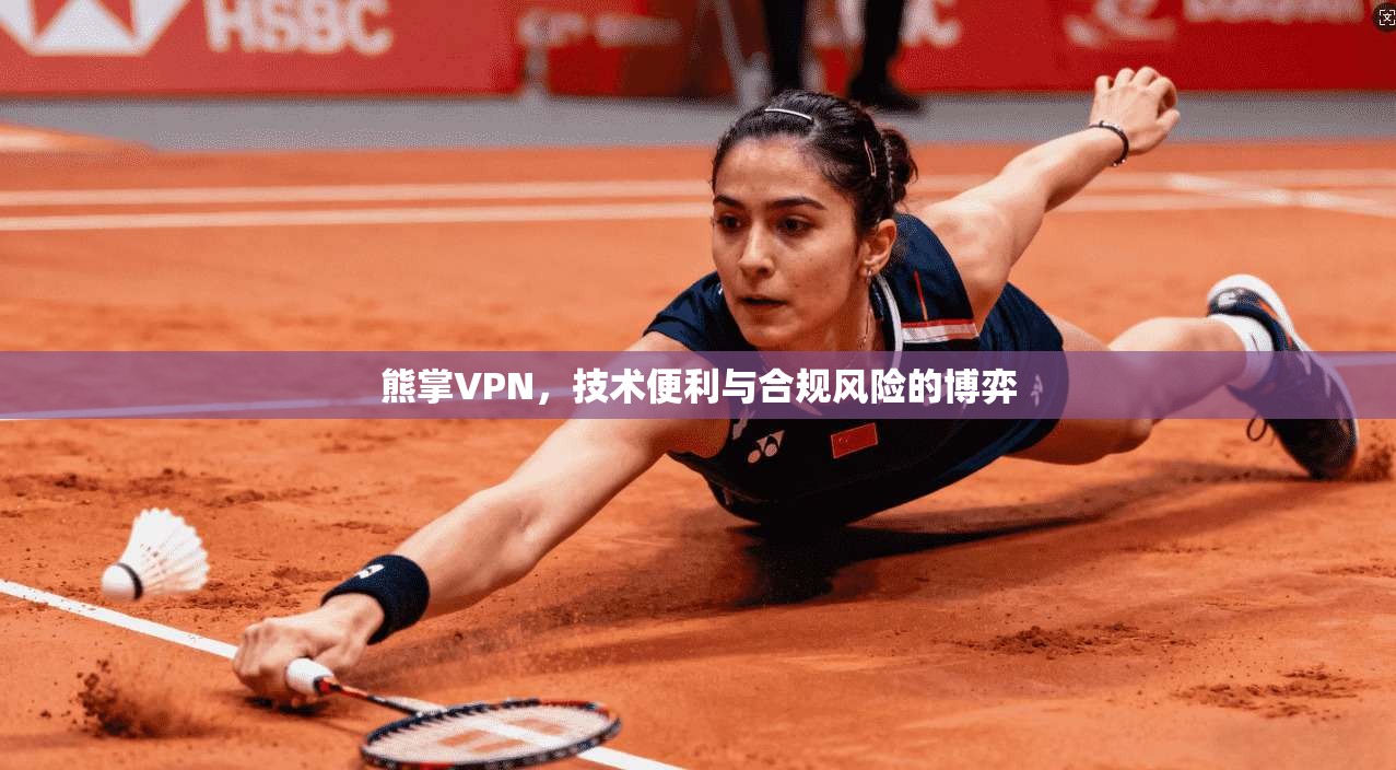 熊掌VPN，技术便利与合规风险的博弈