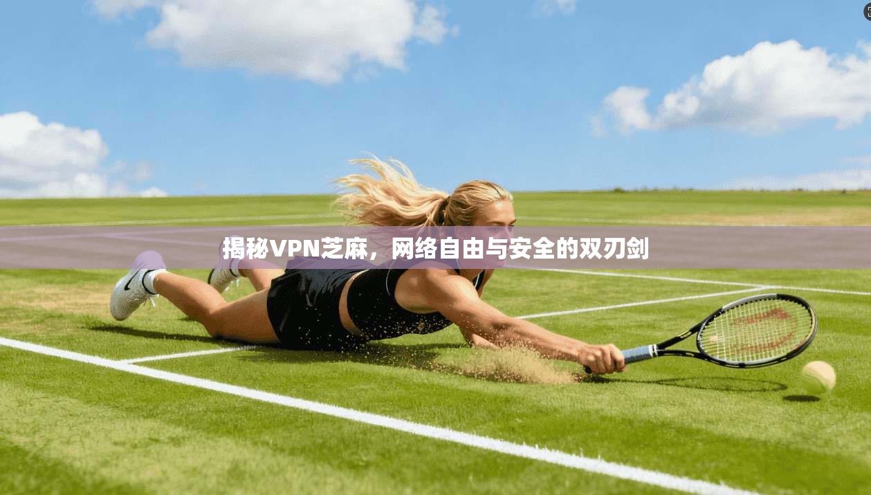 揭秘VPN芝麻，网络自由与安全的双刃剑