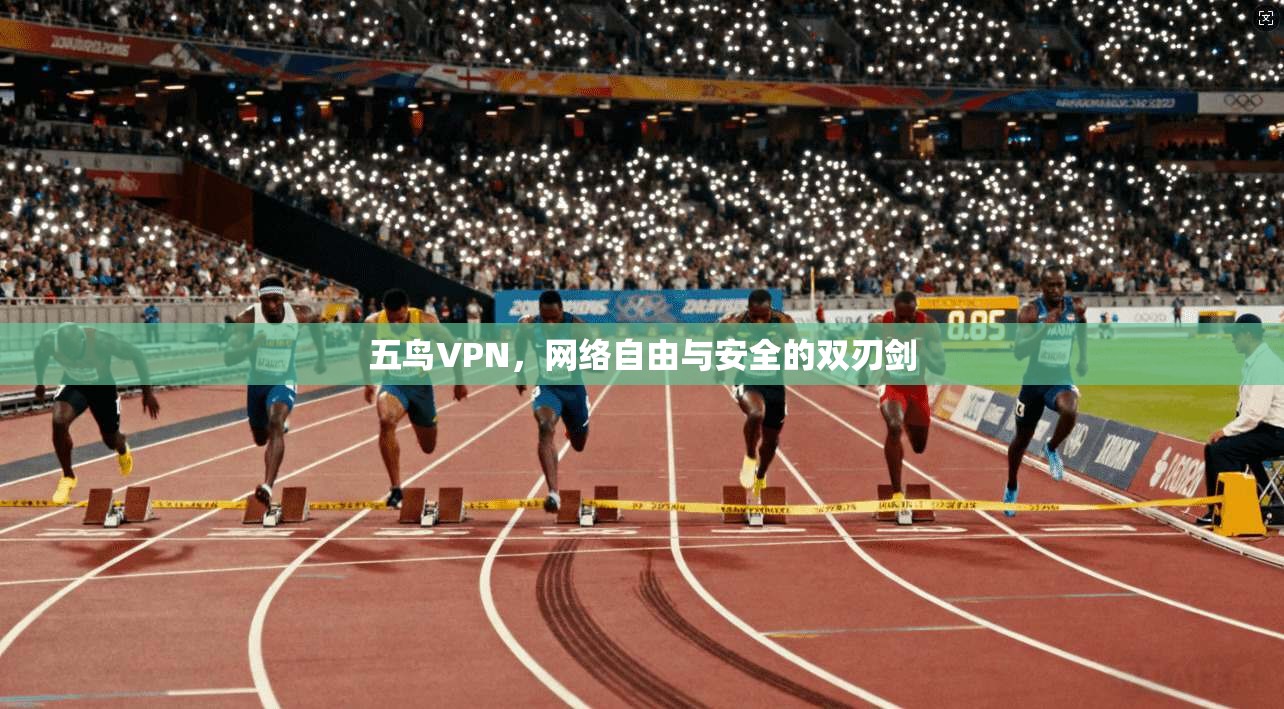 五鸟VPN，网络自由与安全的双刃剑