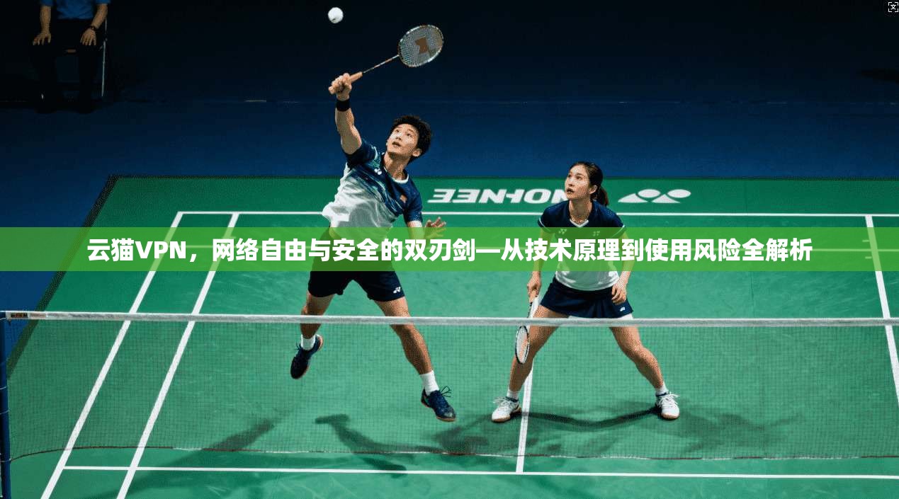 云猫VPN，网络自由与安全的双刃剑—从技术原理到使用风险全解析