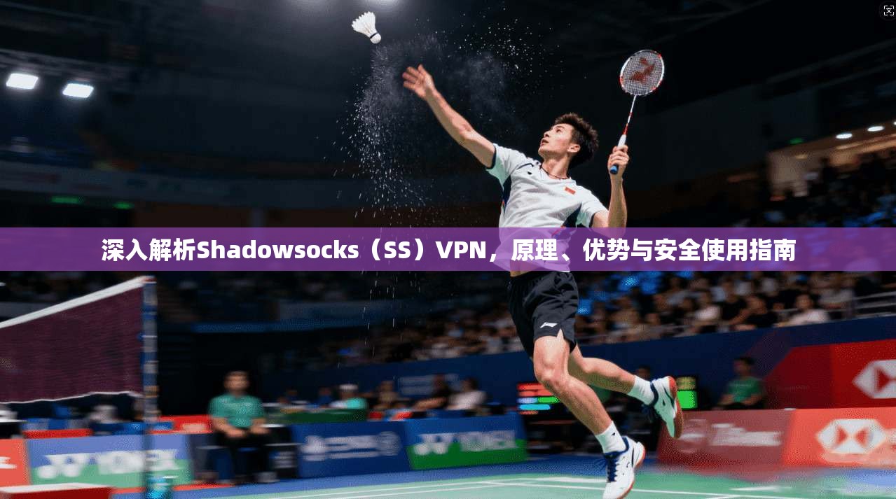 深入解析Shadowsocks（SS）VPN，原理、优势与安全使用指南