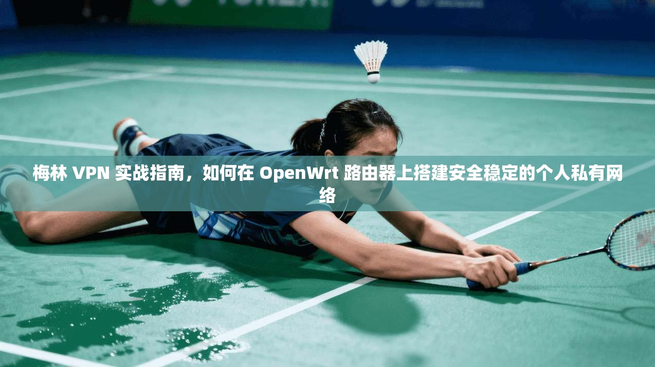 梅林 VPN 实战指南，如何在 OpenWrt 路由器上搭建安全稳定的个人私有网络