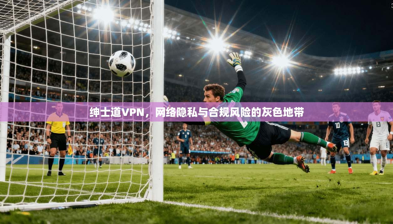 绅士道VPN，网络隐私与合规风险的灰色地带