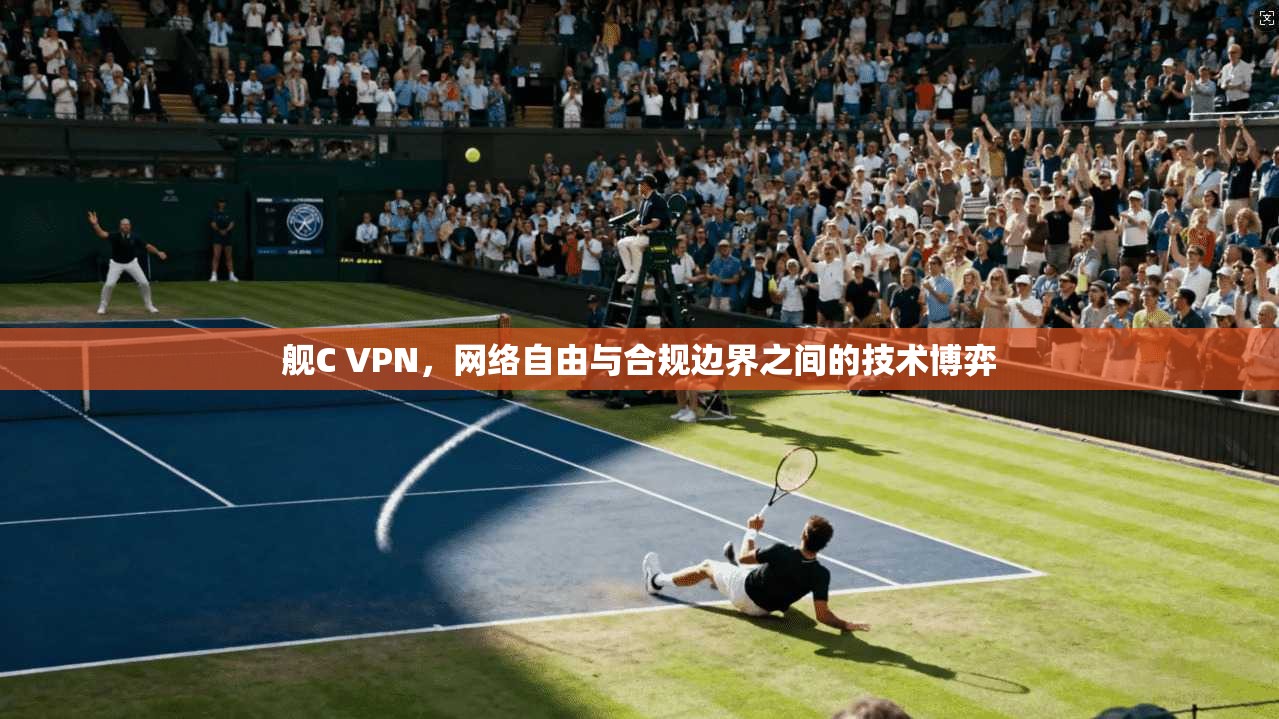 舰C VPN,网络自由与合规边界之间的技术博弈