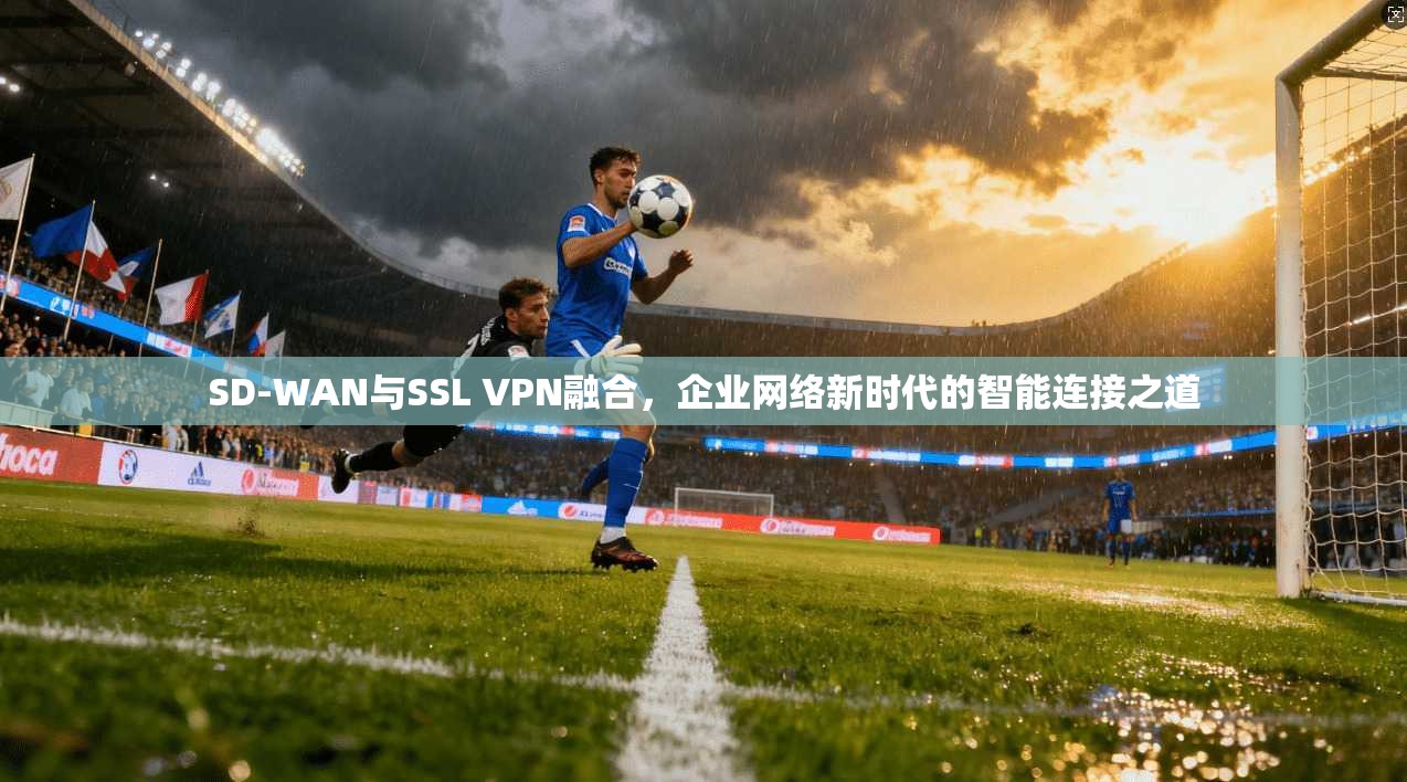 SD-WAN与SSL VPN融合，企业网络新时代的智能连接之道