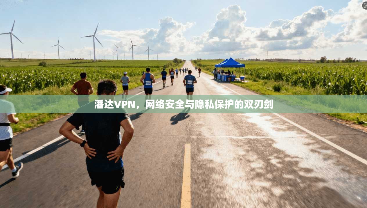 潘达VPN，网络安全与隐私保护的双刃剑