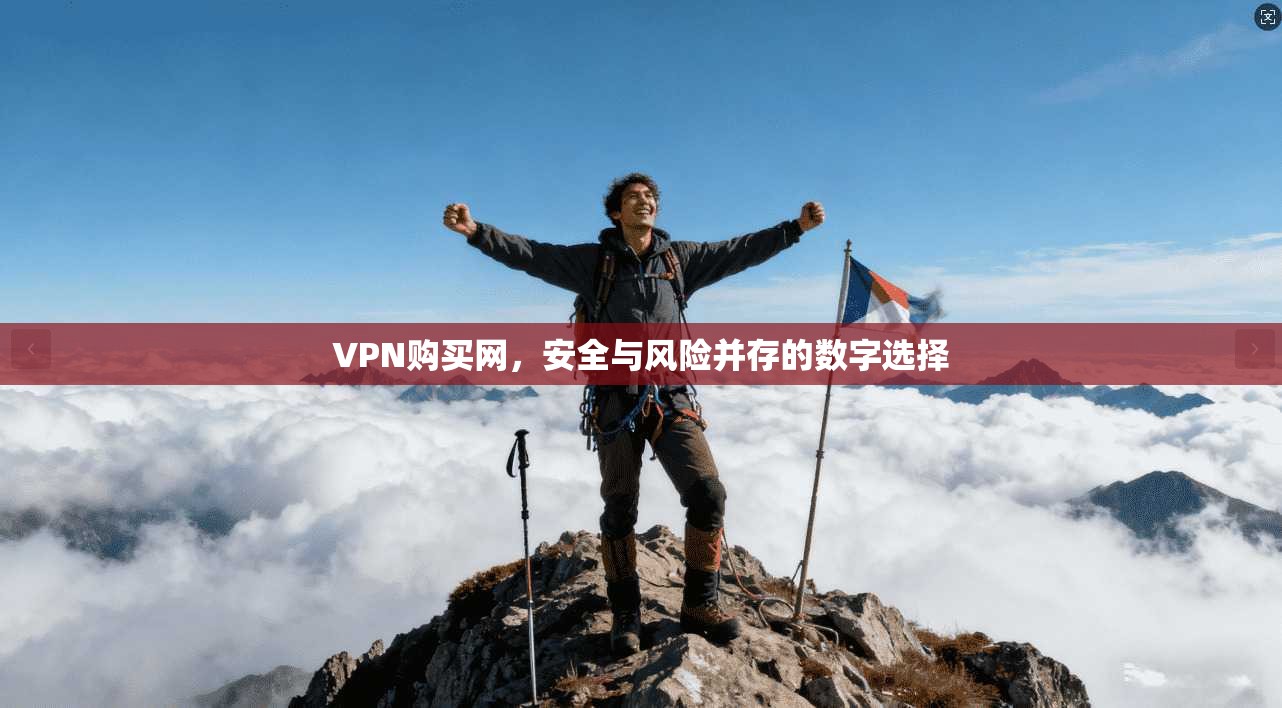 VPN购买网，安全与风险并存的数字选择
