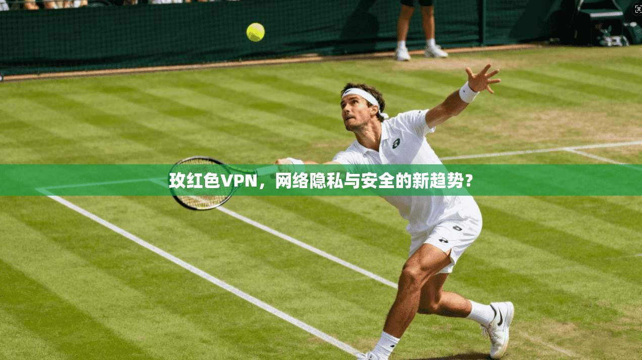 玫红色VPN，网络隐私与安全的新趋势？
