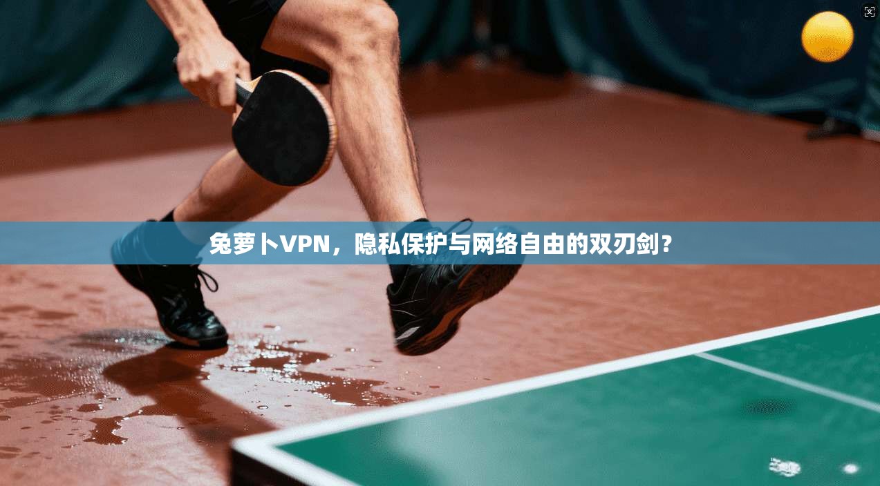 兔萝卜VPN，隐私保护与网络自由的双刃剑？