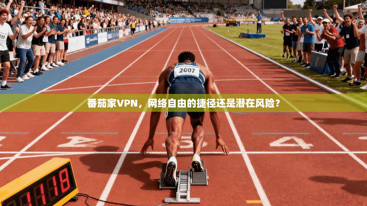 番茄家VPN,网络自由的捷径还是潜在风险? 番茄家VPN,网络自由的捷径还是潜在风险?