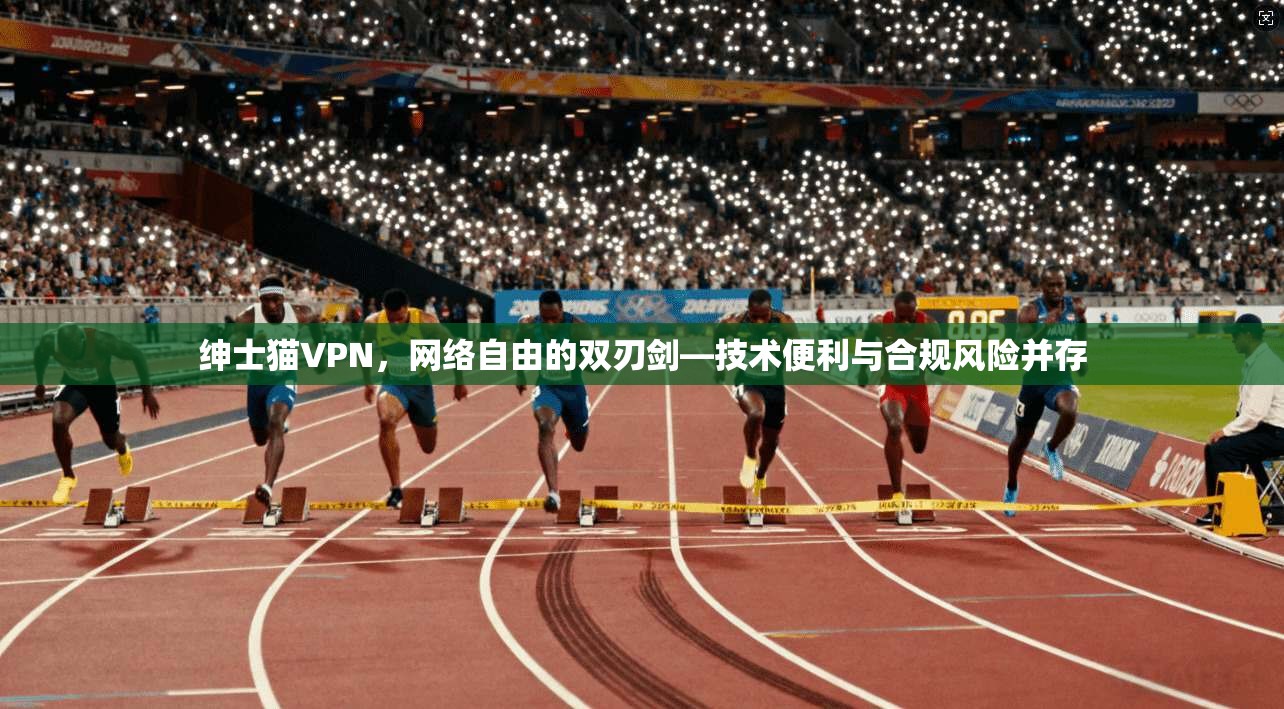 绅士猫VPN，网络自由的双刃剑—技术便利与合规风险并存