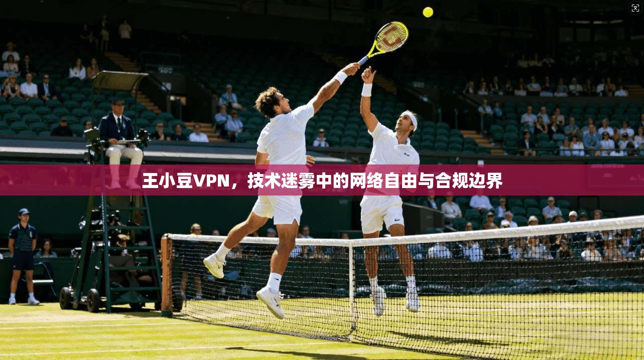 王小豆VPN，技术迷雾中的网络自由与合规边界