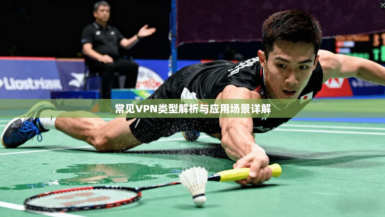 常见VPN类型解析与应用场景详解