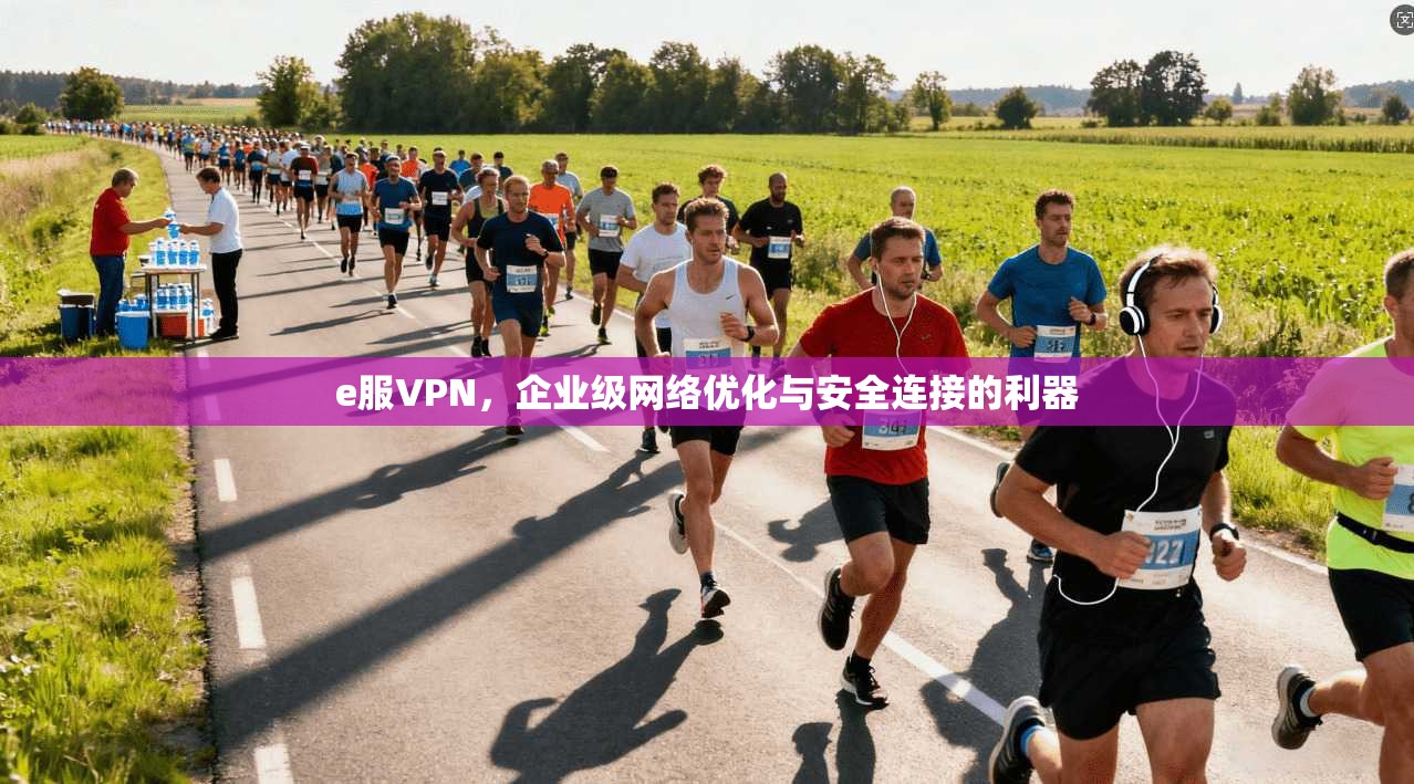 e服VPN,企业级网络优化与安全连接的利器