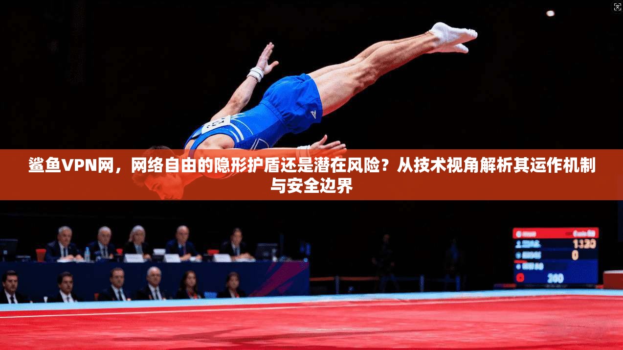 鲨鱼VPN网，网络自由的隐形护盾还是潜在风险？从技术视角解析其运作机制与安全边界