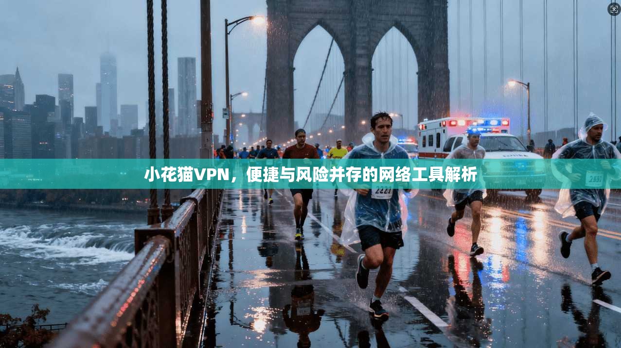 小花猫VPN，便捷与风险并存的网络工具解析