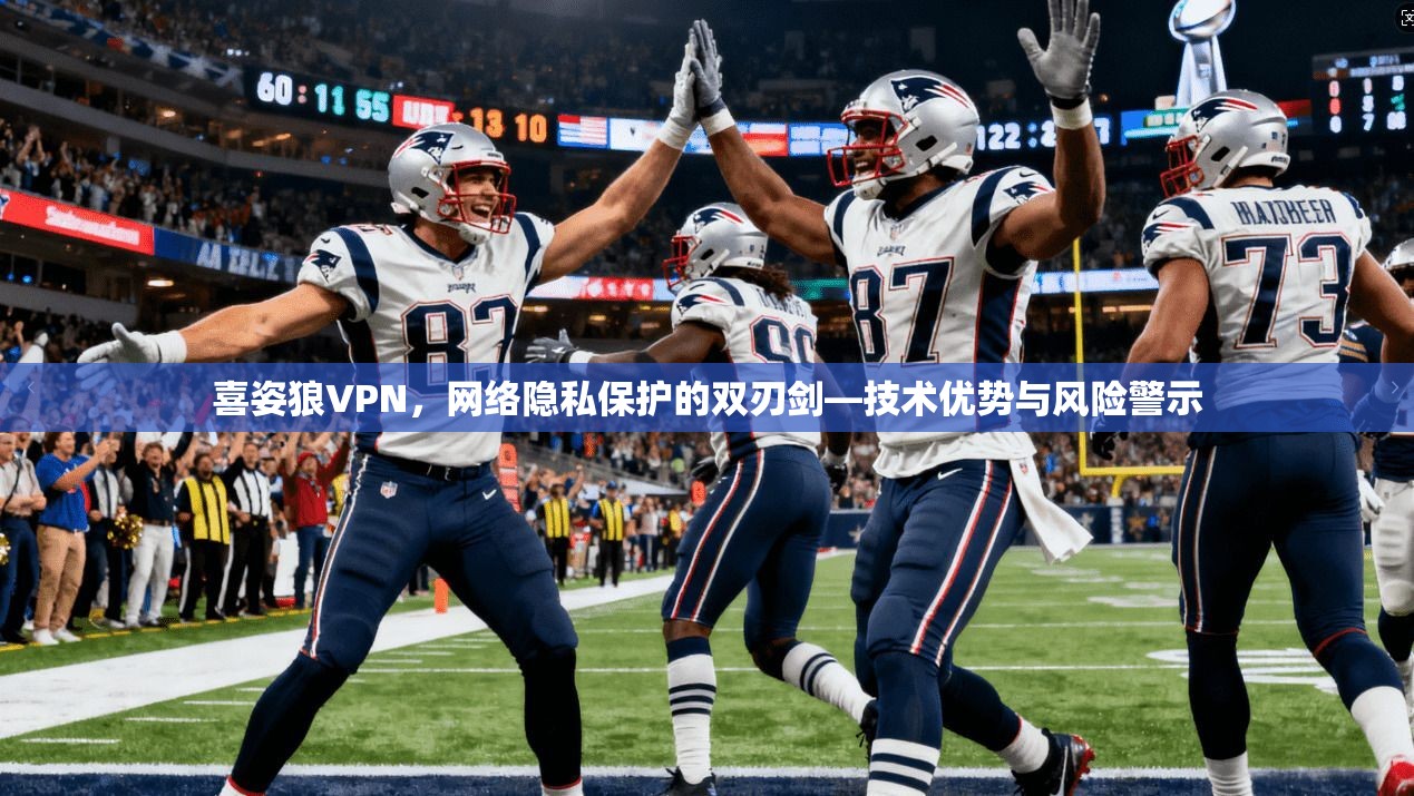 喜姿狼VPN，网络隐私保护的双刃剑—技术优势与风险警示
