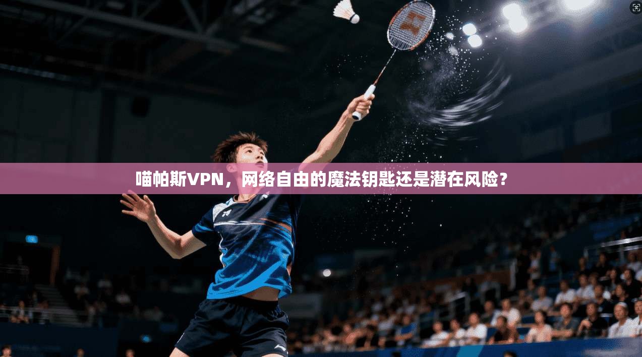 喵帕斯VPN，网络自由的魔法钥匙还是潜在风险？