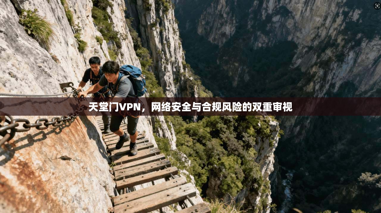 天堂门VPN，网络安全与合规风险的双重审视