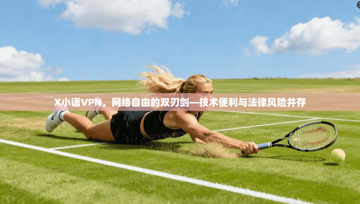 X小语VPN，网络自由的双刃剑—技术便利与法律风险并存