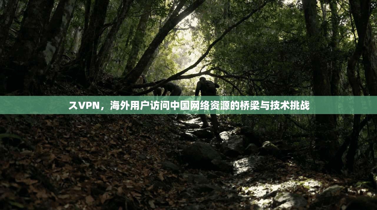 スVPN，海外用户访问中国网络资源的桥梁与技术挑战