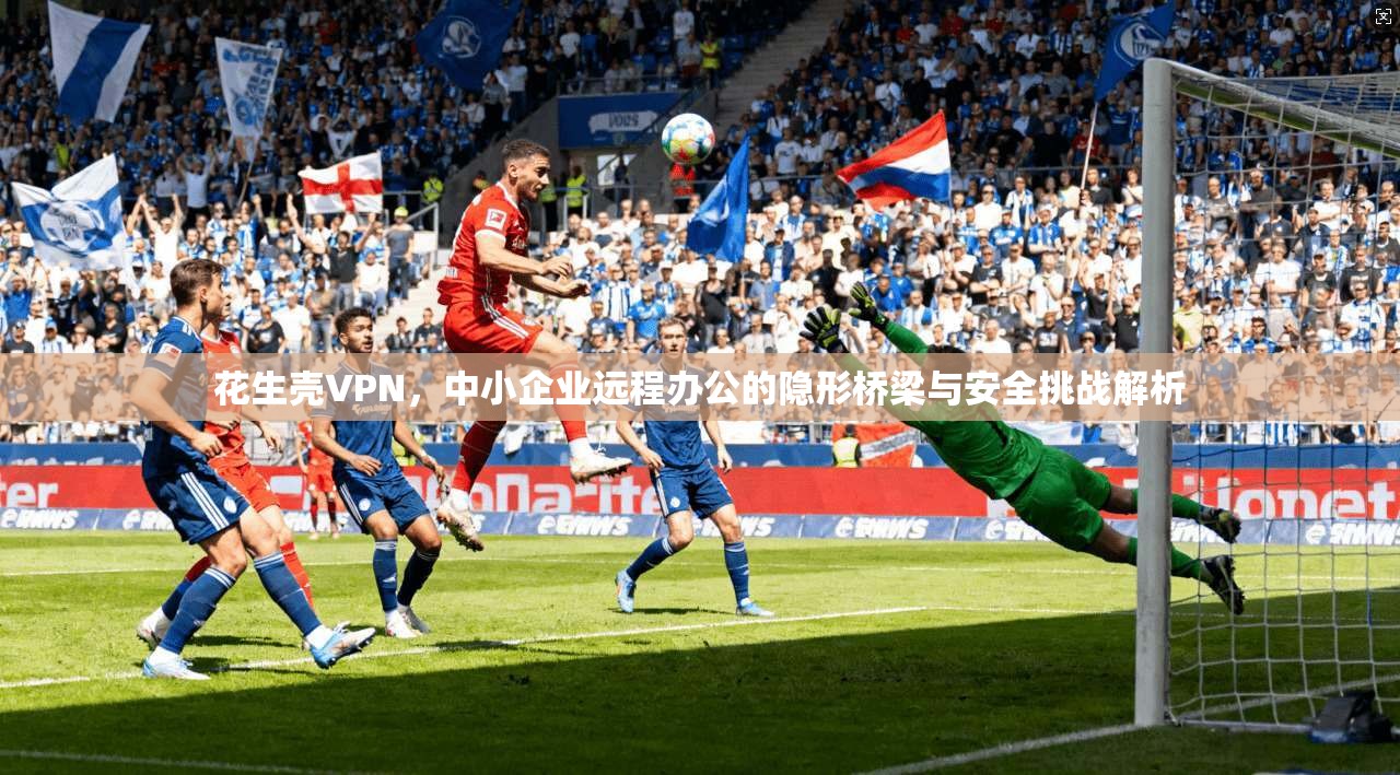 花生壳VPN,中小企业远程办公的隐形桥梁与安全挑战解析