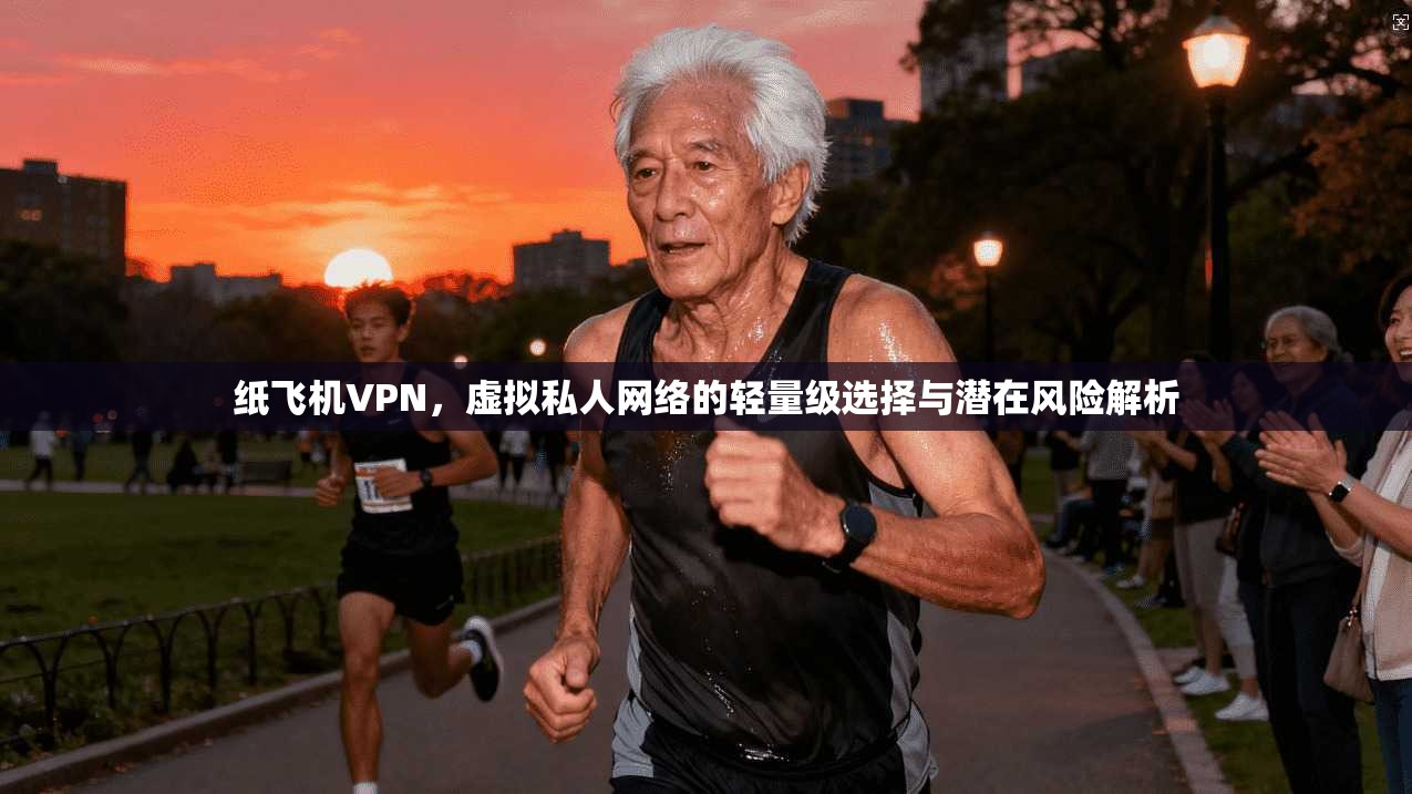 纸飞机VPN，虚拟私人网络的轻量级选择与潜在风险解析
