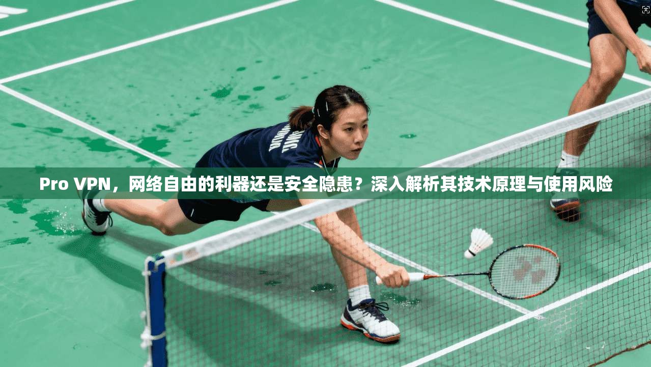 Pro VPN，网络自由的利器还是安全隐患？深入解析其技术原理与使用风险