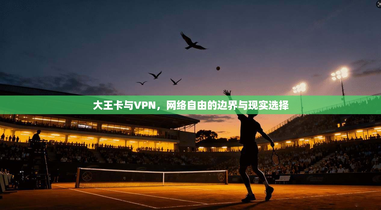 大王卡与VPN，网络自由的边界与现实选择