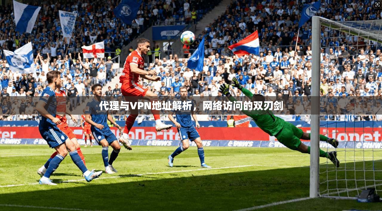 代理与VPN地址解析，网络访问的双刃剑