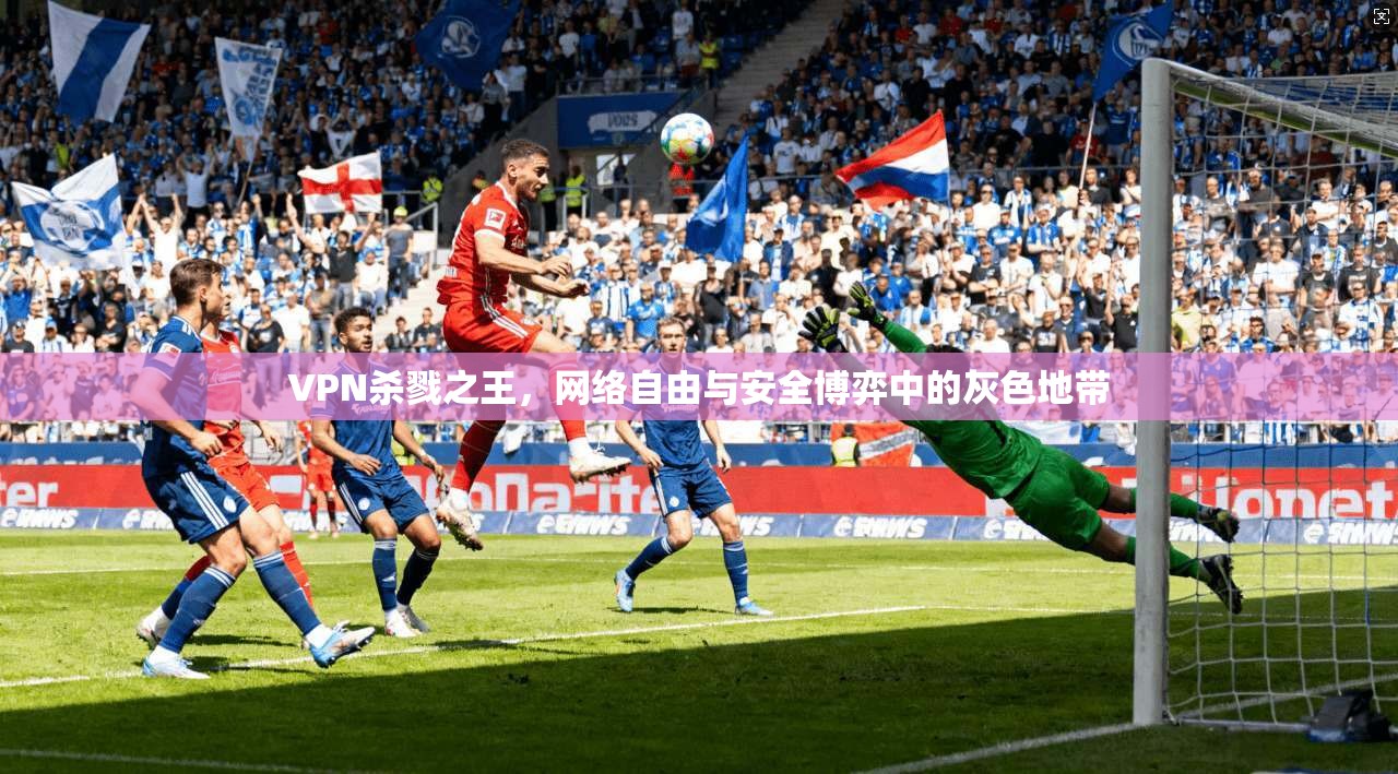VPN杀戮之王，网络自由与安全博弈中的灰色地带
