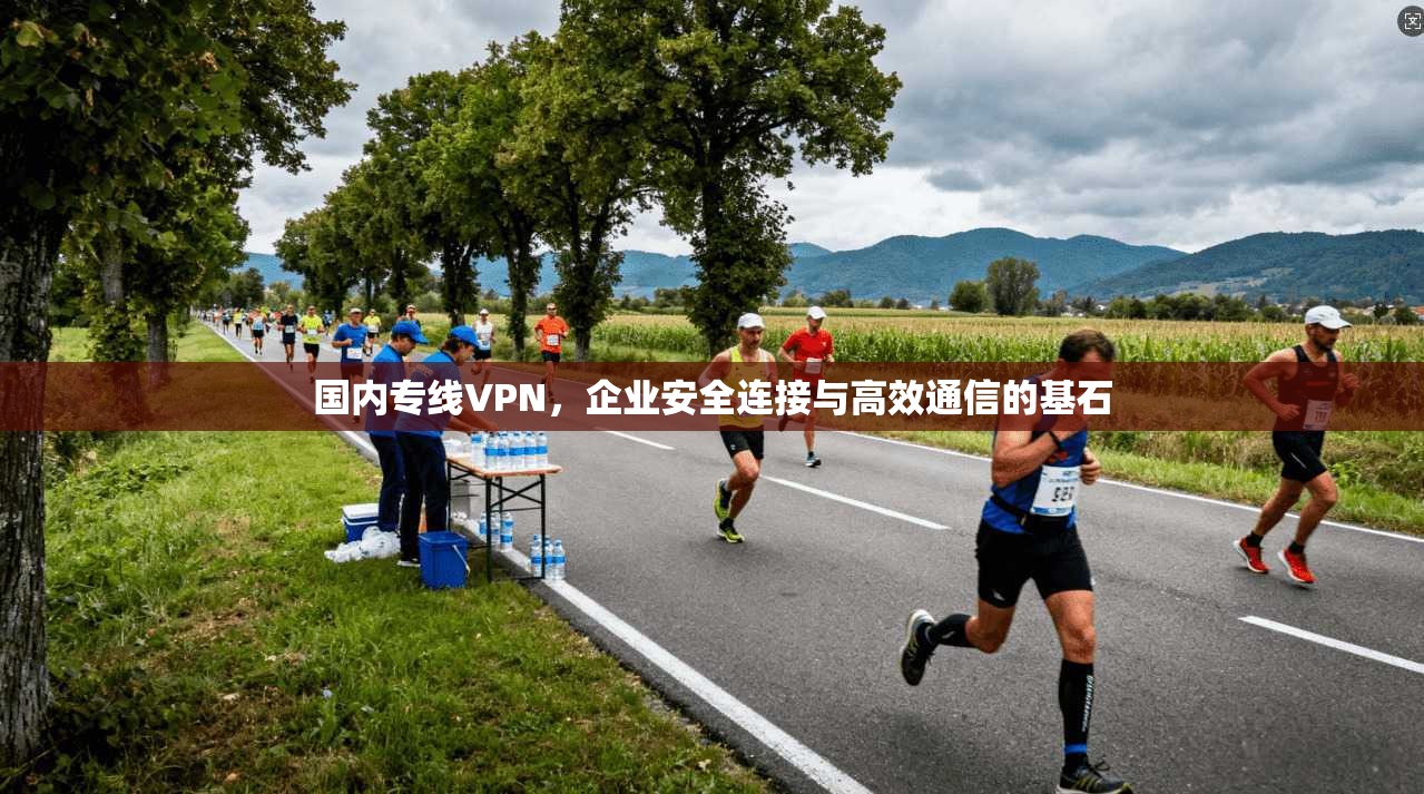 国内专线VPN，企业安全连接与高效通信的基石