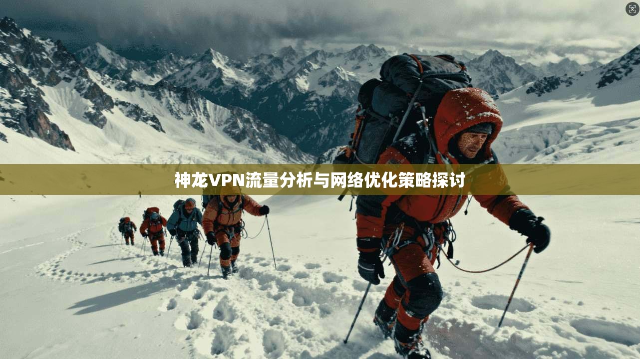 神龙VPN流量分析与网络优化策略探讨