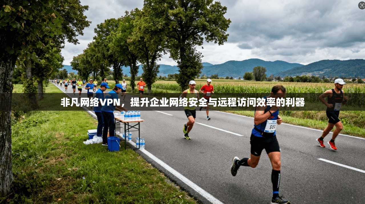 非凡网络VPN，提升企业网络安全与远程访问效率的利器
