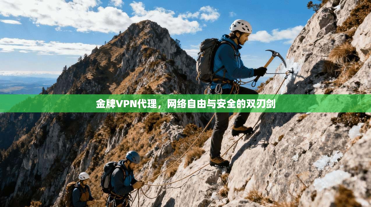 金牌VPN代理，网络自由与安全的双刃剑