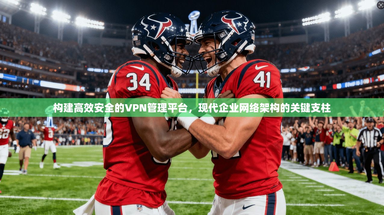 构建高效安全的VPN管理平台，现代企业网络架构的关键支柱
