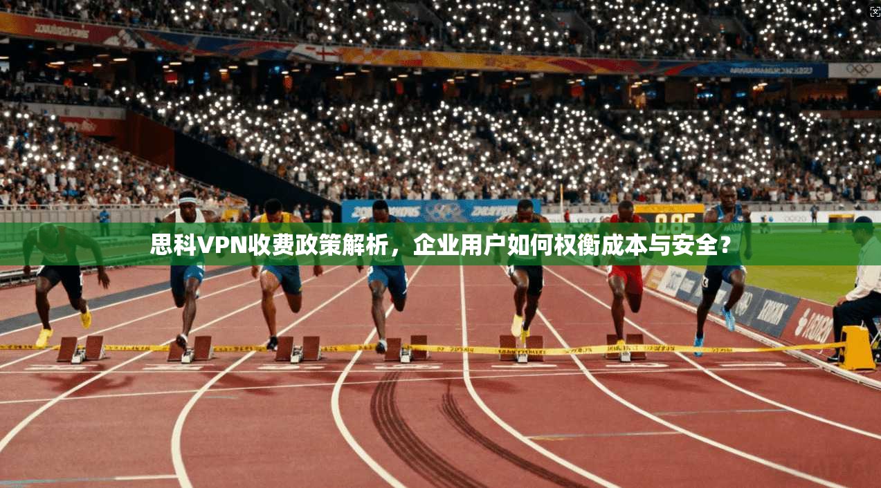 思科VPN收费政策解析,企业用户如何权衡成本与安全?