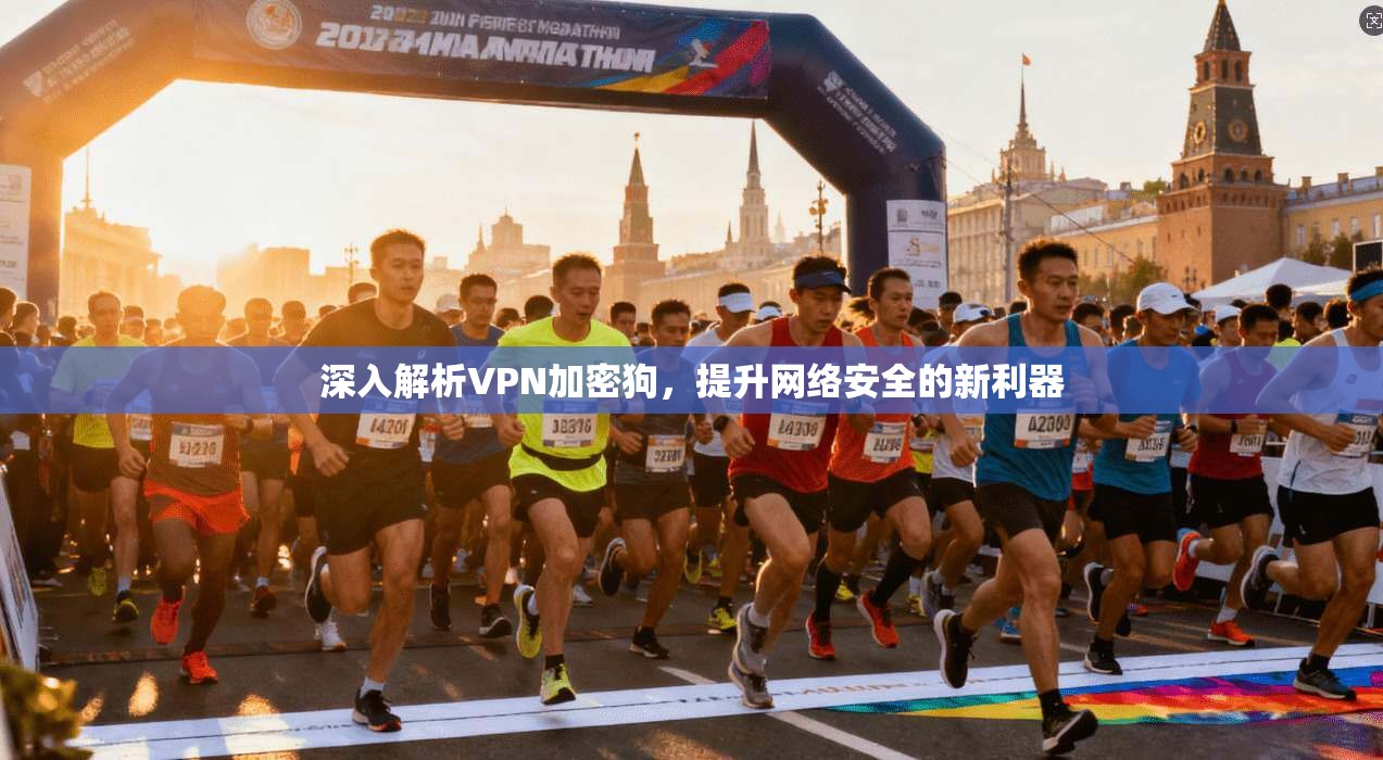 深入解析VPN加密狗,提升网络安全的新利器