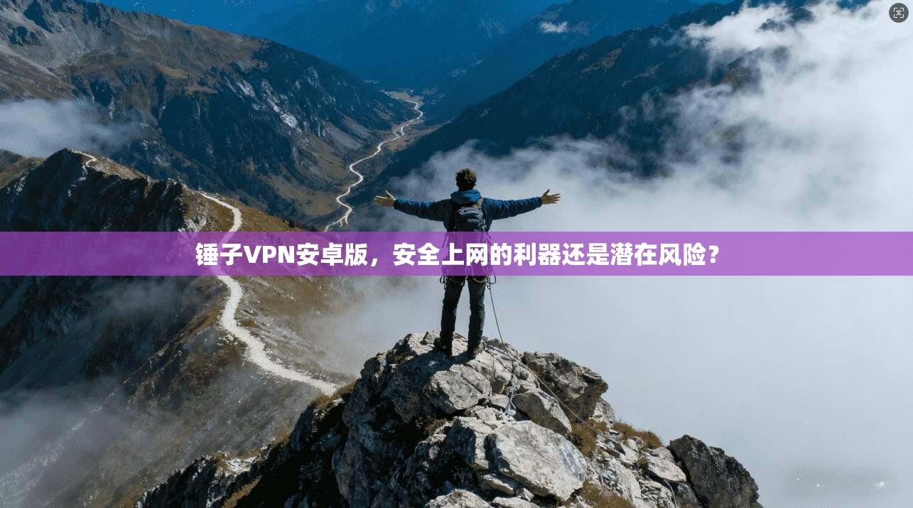 锤子VPN安卓版，安全上网的利器还是潜在风险？